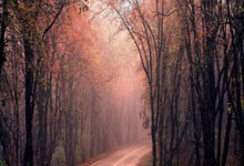 Fire thunder Gaming-高地风暴，苏格兰击溃比利时的战术革命与巴雷拉的自我救赎之路