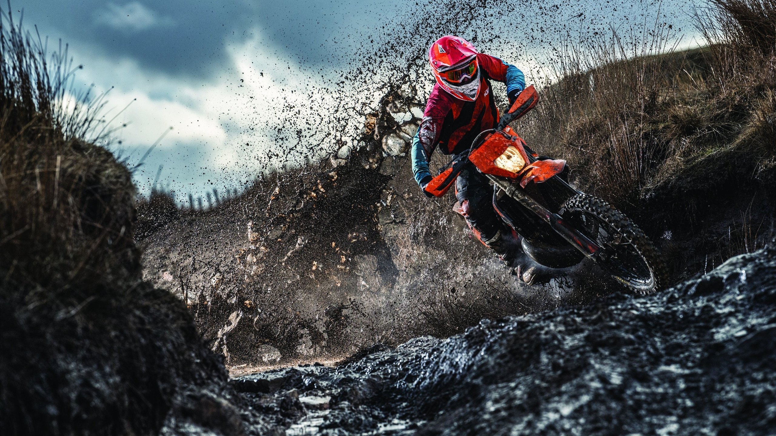 2026世界杯之夜，阿拉巴，舞台越大越强